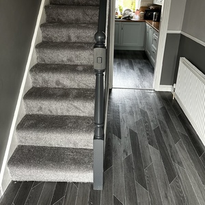 Grey Carpet With Grey Vinyl