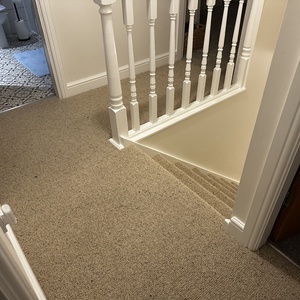 Loop Pile Wool Carpet Beige