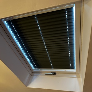 Pleated Roof Blind 